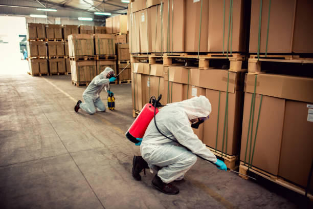Best Wildlife Control Services  in Sturtevant, WI