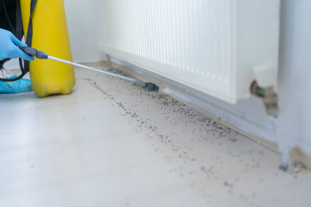 Best Local Pest Control Services  in Sturtevant, WI