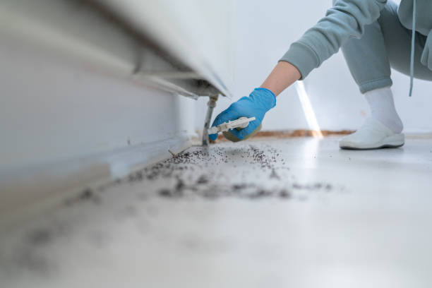Best Emergency Pest Control  in Sturtevant, WI